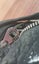 Marc by Marc Jacobs handbag Carousel 8
