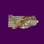 Loading Image 1 of 2