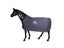 Autumn And Spring Horse Rug Riding Horse Traing Sheet Sweat Absorption Blanket Carousel 5
