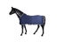 Autumn And Spring Horse Rug Riding Horse Traing Sheet Sweat Absorption Blanket Carousel 1
