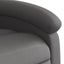 Stand Up Massage Recliner Chair Grey Real Leather Txbpanp Carousel 10