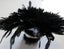 Royal Green Strung Schlappen Feathers Carousel 4