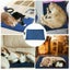 PTN NEW Pet Heating Pad Sale - Sale Carousel 12