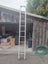 Loading Image 2 of 3