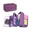 Luggage Travel Organiser Bag E0380PP0 Carousel 6