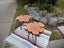 RUSTIC FURNITURE Carousel 14
