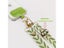 Long Universal Adjustable Leaf Phone Lanyard For Women Crossbody Single Carousel 4