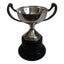 Miniature Trophy Cup Carousel 1