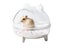 Hamster Sand Bath Container Chinchilla Accessories Golden Bear Bathroom Carousel 3
