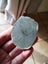 Greenstone carving slab Pounamu $1 reserve MATARIKI MONTH Carousel 1