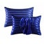 Satin Pillowcase Set of 2 Silk Pillow Cases Carousel 1