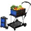 Basket Hand Truck Dolly Folding Shopping Trolley Cart Carousel 8