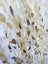 HD Micro Spray - White Birch / Gold Frame / 140 x 70cm Carousel 2