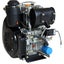 Diesel Engine- 2Cylinder Air cooled. Carousel 1