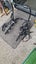 Mens milazo mountain Bike Carousel 7
