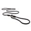 ED Luca Leash Black Carousel 1