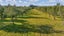gallery view thumbnail
