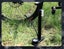 Bike Floor Pump, High Pressure bike floor pump with display | Presta & Schrader Carousel 2