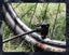 Bike Floor Pump, High Pressure bike floor pump with display | Presta & Schrader Carousel 7