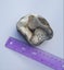Mordonite on chalcedony geode - zeolite mineral Carousel 5