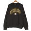 Vintage 90s NFL Pittsburgh Steelers Spellout Sweatshirt XL Carousel 1