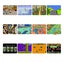 4.3-Inch Handheld Retro Game Console – 29000+ Free Games Carousel 3