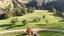 gallery view thumbnail