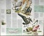 1973 Nat Geographic 2-Sided Map of ‘Florida’ Carousel 5