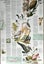 1973 Nat Geographic 2-Sided Map of ‘Florida’ Carousel 4