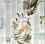 1973 Nat Geographic 2-Sided Map of ‘Florida’ Carousel 6