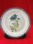 Vintage Handpainted Plate By Paige Blanks Taupo Carousel 1