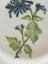 Vintage Handpainted Plate By Paige Blanks Taupo Carousel 2