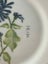 Vintage Handpainted Plate By Paige Blanks Taupo Carousel 3