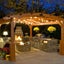 Waterproof Festoon Light Carousel 11