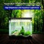 PTN New Fish Tank Aquarium Light Sale Sale Carousel 3