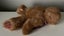 Bear's Bear Teddy Bear Plush Soft Toy (PING/AFTERPAY) Carousel 10