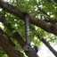 Outdoor Camping Tent Peg Hammer Black Carousel 3