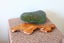 New Zealand greenstone touchstone pounamu carving stone home deco unique gift Carousel 8