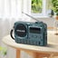 Portable Digital FM Radio Carousel 1
