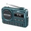 Portable Digital FM Radio Carousel 5
