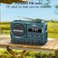 Portable Digital FM Radio Carousel 7