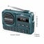 Portable Digital FM Radio Carousel 9