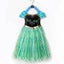 Frozen Princess Anna Dress Costumes Girls Dress Up Costume 5-6 yrs Carousel 3