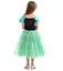 Frozen Princess Anna Dress Costumes Girls Dress Up Costume 5-6 yrs Carousel 8