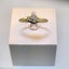 Yellow Gold & Diamond Band Carousel 1