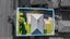 gallery view thumbnail