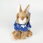 Antics - Mini Rabbit Brown Carousel 6