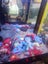 Arcade games sited Carousel 7