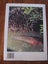 The Rockpool Fishes Of New Zealand * by Chris Paulin and Clive Roberts 1992 Carousel 10