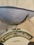 Salter imperial scales Carousel 3